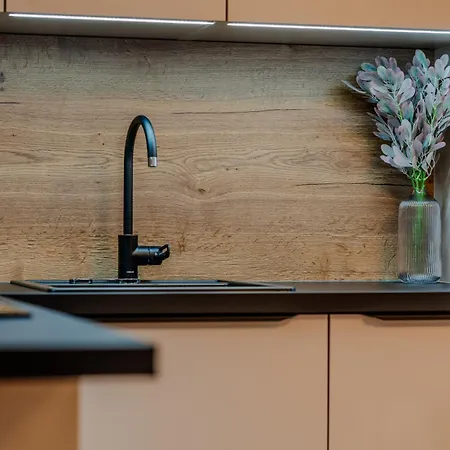 公寓 Saint Donat Center *